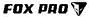 Lisica