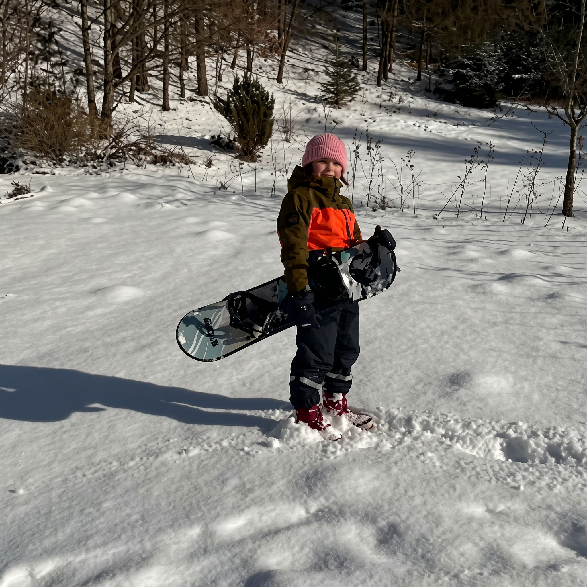 Snowboard Story