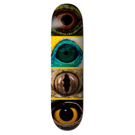 Dzięki deskom skate'owym Element 8"