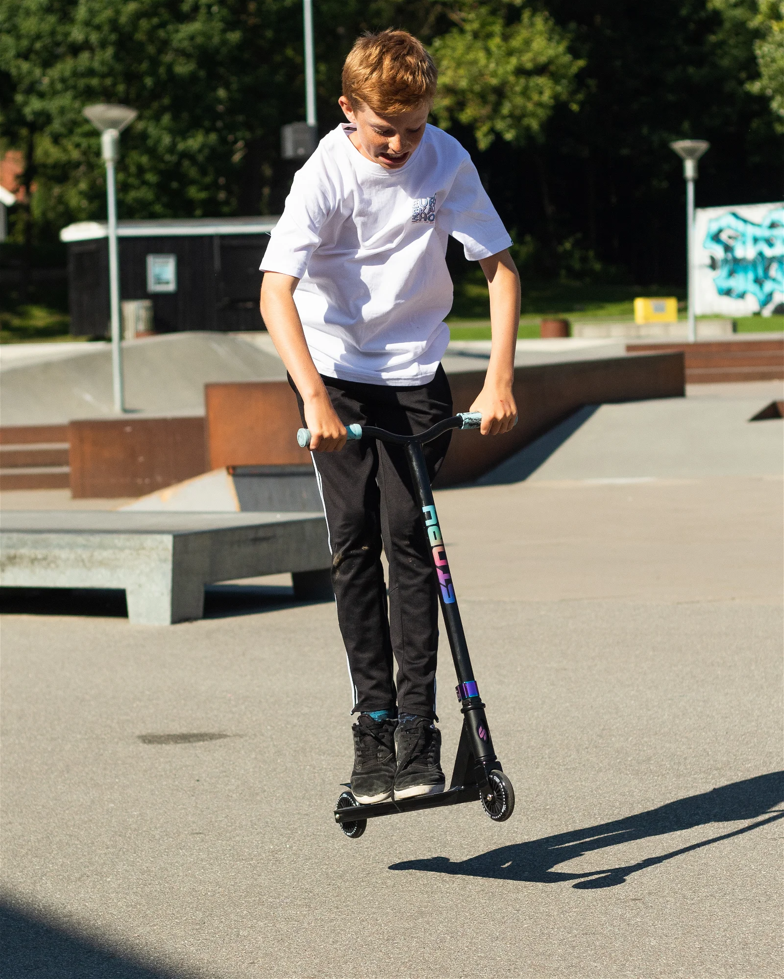 Freestyle Roller