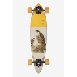 Globe Pintail Sokoła Longboard